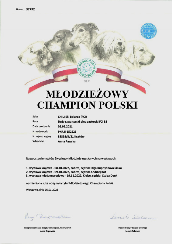 Duży Szwajcarski Pies Pasterski - Młodzieżowy Chamion Polski